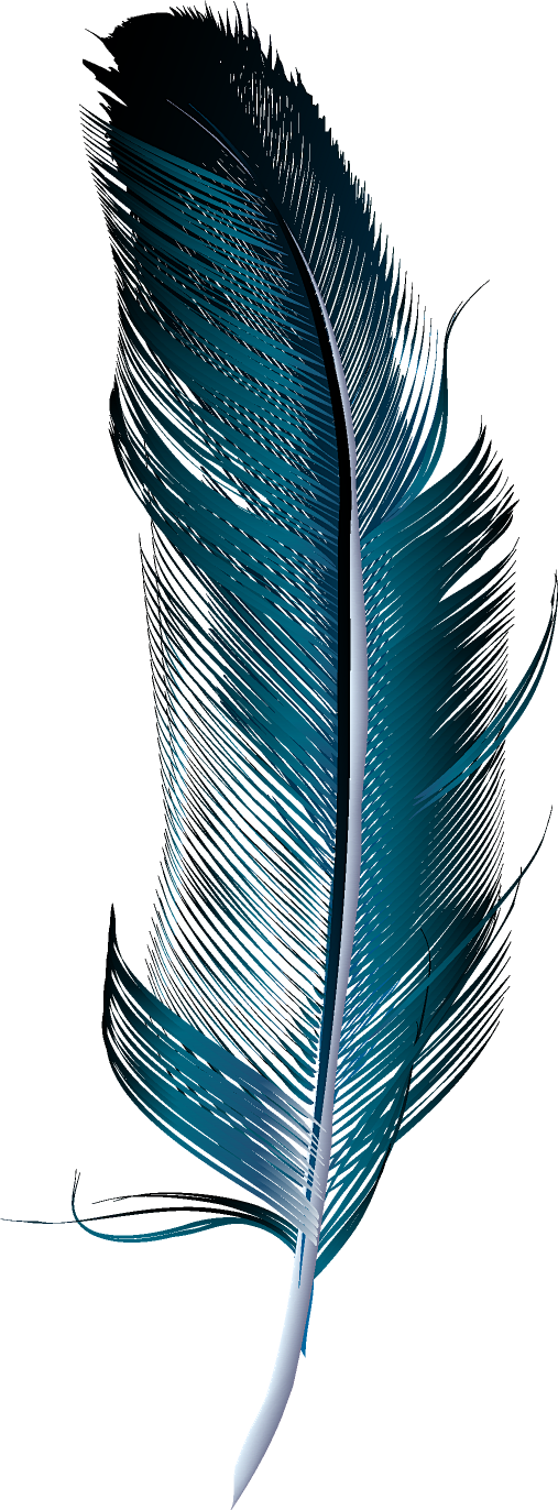 羽毛PNG