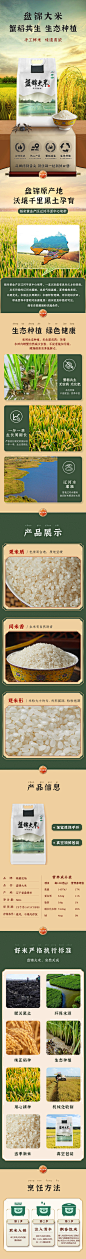 粮食五常大米生态种植详情页设计师粮食五常大米生态种植详情页