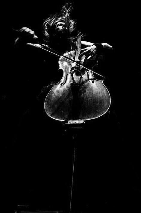 The musician - photo...