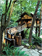 Tree House