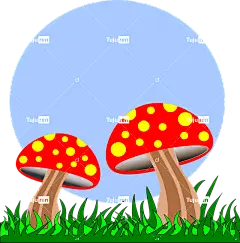 蘑菇 字段 菌 自然