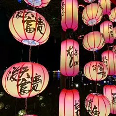 2025新款中式灯笼古风吊灯国潮户外防水定制景区市集冬瓜调动装饰-tmall.com天猫