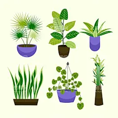 盆栽   - 源文件下载【酷图网】盆栽,绿色植物,绿植,盆景,花卉花草,卡通,插图,插画
