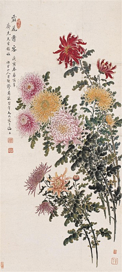 *ROCK采集到国画花鸟等