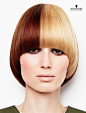 Mono Mods Medium. Essential Looks Spring-Summer 2013. Schwarzkopf Professional.