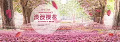 浪漫,樱花,大树,海报banner,梦幻图库,png图片,网,图片素材,背景素材,3584969@飞天胖虎