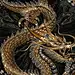 (812) Pinterest