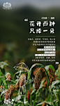 七夕  酱酒30道工序中的爱情