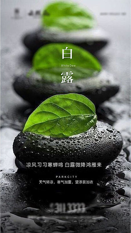 二十四节气白露