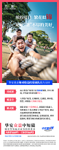 0517华安众盈中短债海报3-v5