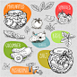 手绘线稿粉笔蛋糕食品食物水果蔬菜海报 AI矢量设计素材 (3)