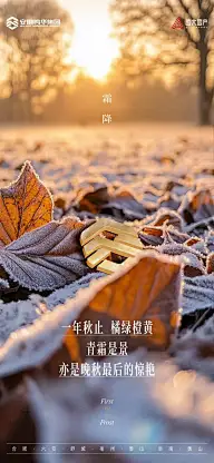 霜降灵感图 5
