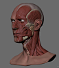 其中包括图片：David Bowie - Anatomy Face + Free Download File, Rodrygo Avila