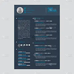 简历或CV矢量模板工作申请。