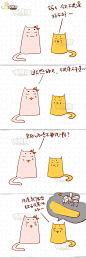 捧腹首发：捧腹猫系列漫画——洗澡
