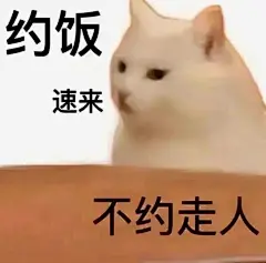 猫猫表情包｜胖罐子胖摔_08