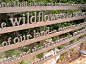 laser cut stainless steel entrance sign to Lady Bird Johnson Wildflower Center