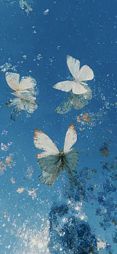 蓝调蝴蝶壁纸