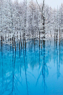 喵了个咪的昵称竟然已经存在了采集到A场景—冰雪