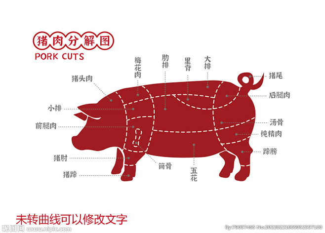 猪肉部位分割图