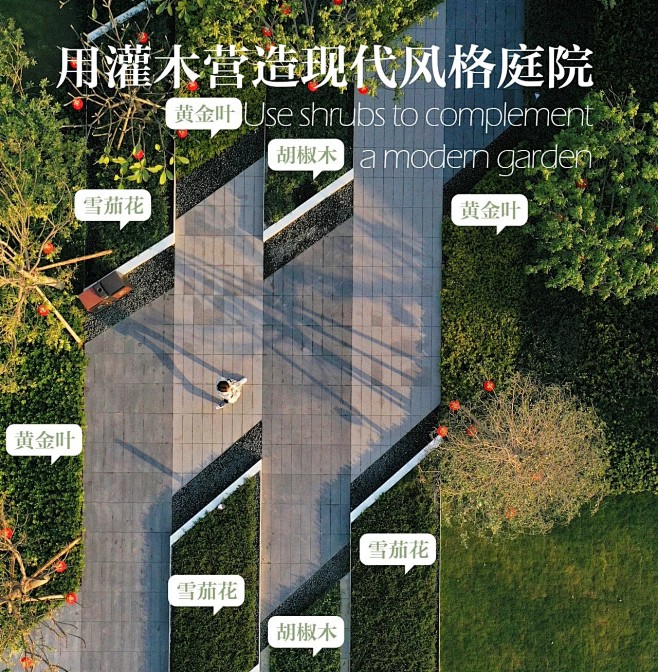 植物配置实景 (69)