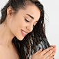 Amazon.com: Ginger Lily Farms Botanicals ZeroDerm Advanced Therapy - Acondicionador hidratante para todo tipo de cabello, 100 veganos sin crueldad, sin fragancia, paquete de 1 galón, blanco, sin perfume, 4 unidades, (paquete de 4) : Todo lo demás
