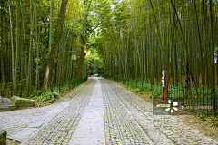 用户ILKumbPH采集到墙绘