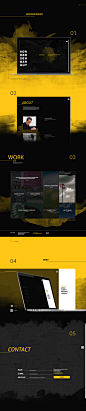 Redesign BRANDY : A responsive redesign concept for an austrian artist.- Project from the Styleflasher GmbH