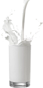 webp (3)_看图王.web(3)