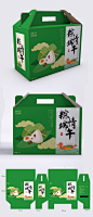绿色端午节粽子手提礼盒包装