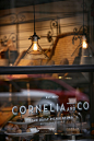 Cornelia & Co. The daily picnic store