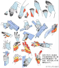 肢体-手-1（22）