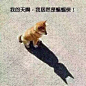 戏精戏精戏精，都是戏精 ​#搞笑# ​​​​