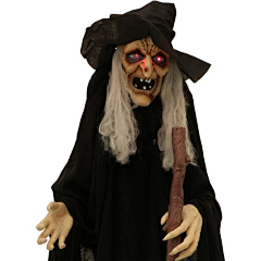 翻墙的奈亚子呀采集到女巫 witch