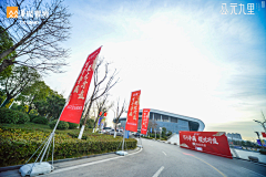 秃头小策划采集到开盘
