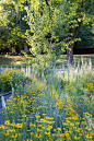 Landscaped Prairie — Kelly D. Norris