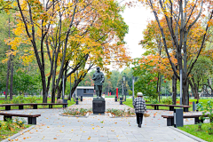VV-DAI采集到公园