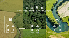 苍狗又白云111采集到排版