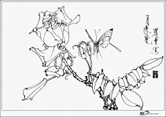 王道中工笔花卉白描（30P）