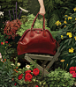 乌托邦幻境，GUCCI 2018春夏大片|Neeu你有