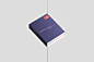 architecture Biennale book editorial hungary identity print typography   venezia Venice