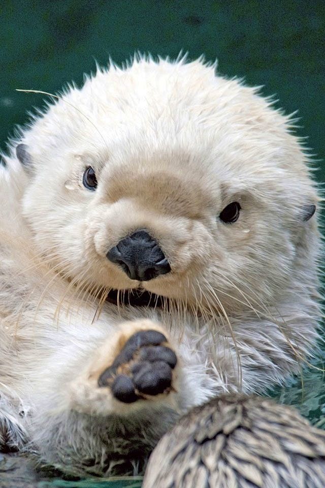 640_960竖版 竖屏