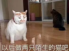 #沙雕表情包模仿大赛#

今日份沙雕表情包 ​​​​