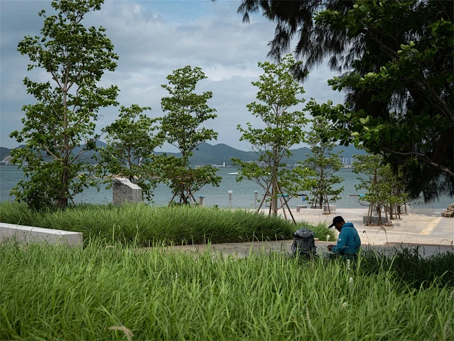 东部海堤重建工程（三期）— 东山段｜深圳...