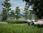 东部海堤重建工程（三期）— 东山段｜深圳 / 翰博设计 – mooool木藕设计网