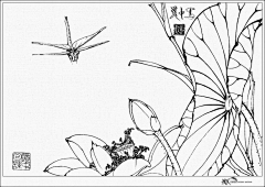 禅静采集到白描花卉