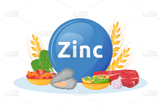 商品,绘画插图,卡通,锌,矢量,牛排,健康保健,菠菜,自然界的状态,一个物体
