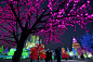 国际冰雪节期间，哈尔滨街边的树木也装点了五颜六色的彩灯。