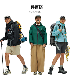 寅孟月采集到1