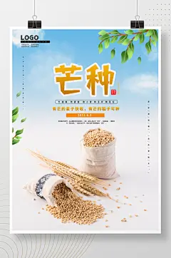 芒种节气中国传统节日海报